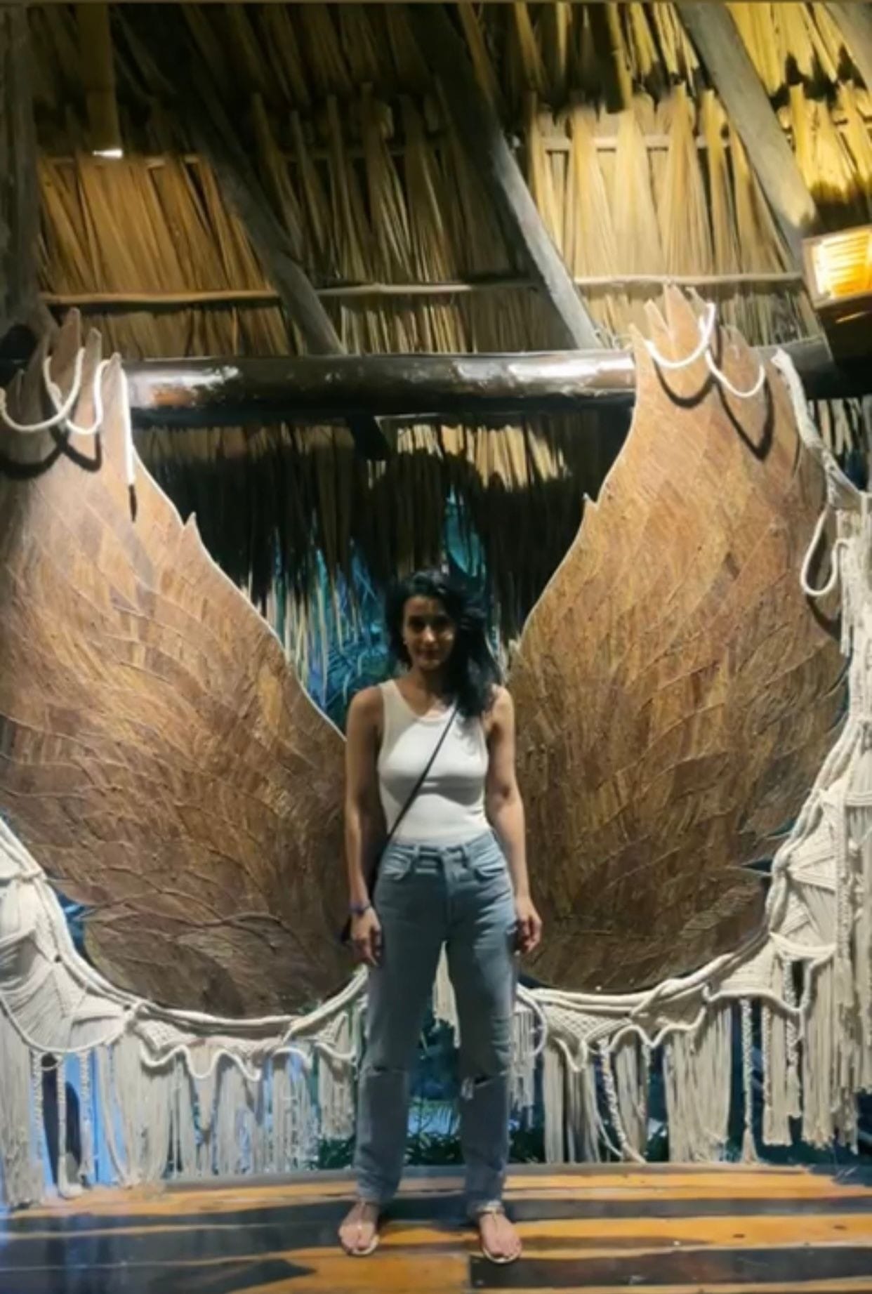 Tulip Joshi Standing with Wooden Wings
